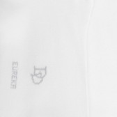 Socquettes homme en coton égyptien - Blanc | Doré Doré