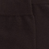 Chaussettes homme Eureka en coton égyptien - Marron | Doré Doré