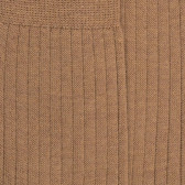 Chaussettes homme en laine mérinos côtelées - Marron Désert | Doré Doré