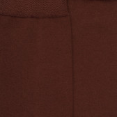 Chaussettes homme Soft Cotton  - Marron | Doré Doré
