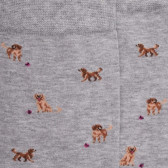 Chaussettes homme en coton à motifs chiens - Gris Rocheux | Doré Doré
