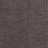 Chaussettes côtelé bicolores homme en laine et coton doux - Brun loutre & Bleu | Doré Doré