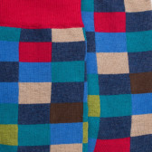 Chaussettes homme échiquier en coton - Bleu Pêcheur & Rouget | Doré Doré