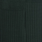 Chaussettes homme fines à côtes en fil d'Écosse - Vert thym | Doré Doré